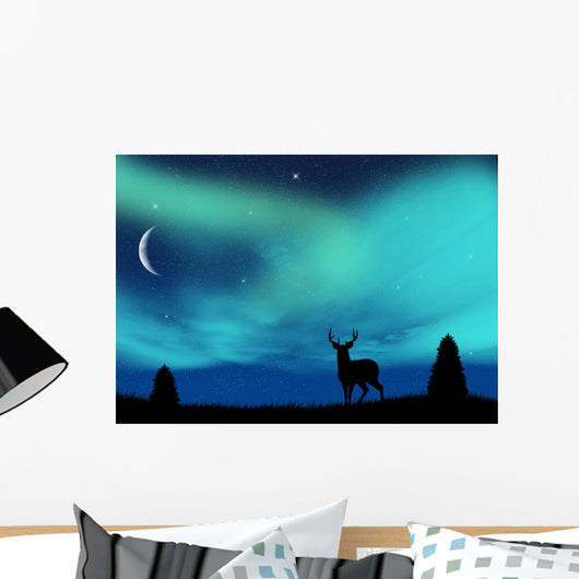 Aurora Borealis