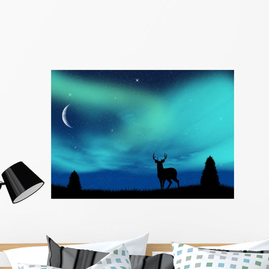Aurora Borealis