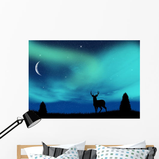 Aurora Borealis