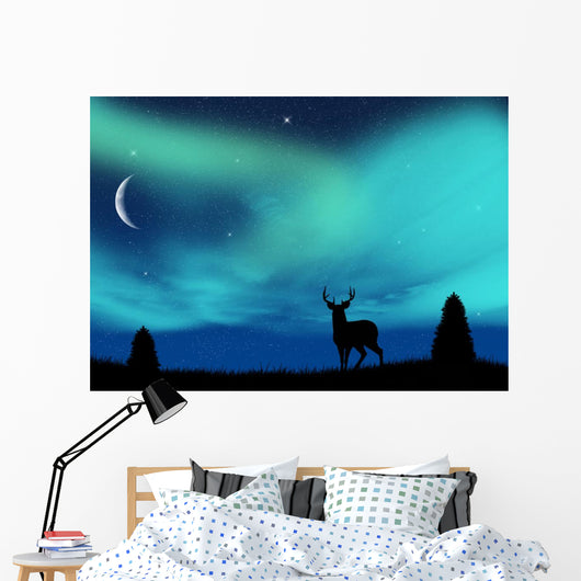Aurora Borealis