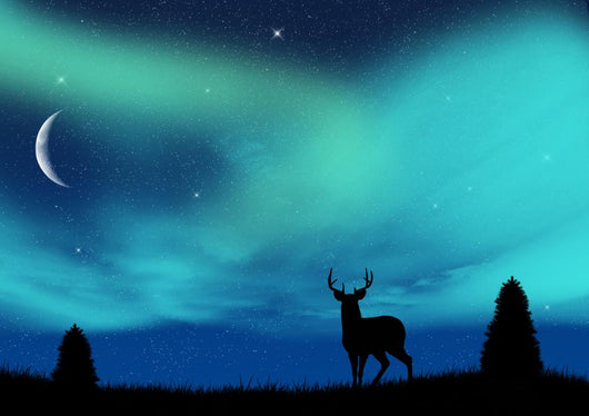 Aurora Borealis