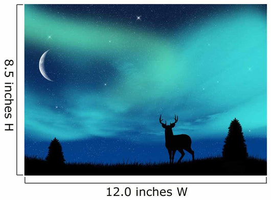 Aurora Borealis
