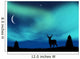 Aurora Borealis
