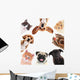 Collage Cute Pets White