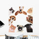 Collage Cute Pets White