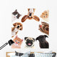 Collage Cute Pets White