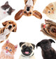 Collage Cute Pets White