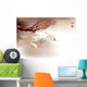 Koi carp Wall Mural