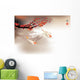 Koi carp Wall Mural