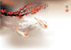 Koi carp Wall Mural