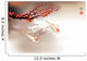 Koi carp Wall Mural