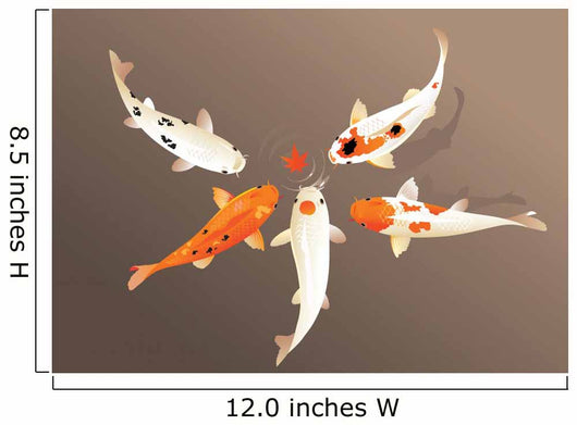 Koi carp Wall Mural