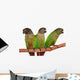 Green Cheek Conure Wall Decal