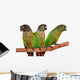 Green Cheek Conure Wall Decal