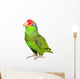 Amazon Parrot Wall Decal