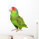 Amazon Parrot Wall Decal