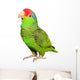 Amazon Parrot Wall Decal