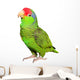 Amazon Parrot Wall Decal