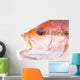 Fresh Red Snapper Fish. Wall Decal