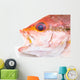 Fresh Red Snapper Fish. Wall Decal