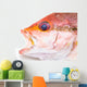 Fresh Red Snapper Fish. Wall Decal