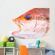 Fresh Red Snapper Fish. Wall Decal