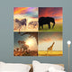 African safari Wall Mural