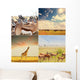 African safari Wall Mural
