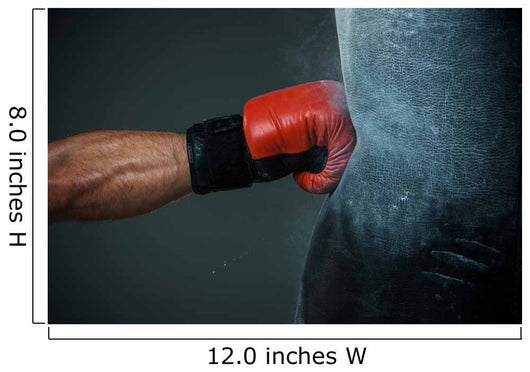 Boxing Training and Punching Wall Mural – Wallmonkeys