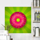Donut Wall Mural