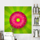 Donut Wall Mural