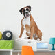 Boxer Dog Front White
