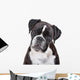 Boxer dog in front of a white background Wall Decal