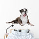Boxer dog in front of a white background Wall Decal