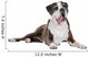 Boxer dog in front of a white background Wall Decal