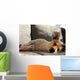 Jack Russell Terrier macht Mittagsschläfchen Wall Mural