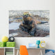 Galapagos marine iguana, Isabela island Wall Mural