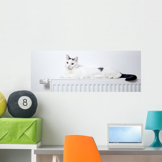Katze liegt auf der heizung  Wall Mural