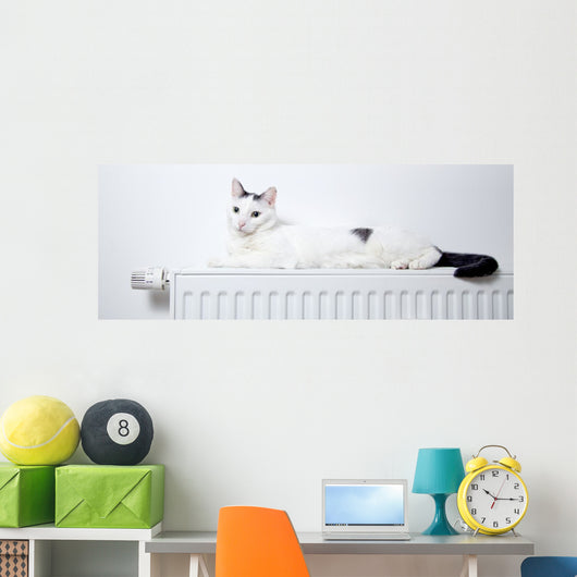 Katze liegt auf der heizung  Wall Mural