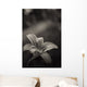 lily of the valley Wall Mural