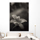 lily of the valley Wall Mural