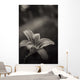 lily of the valley Wall Mural