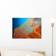Couple of scuba divers on coral reef Wall Mural