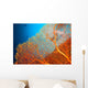Couple of scuba divers on coral reef Wall Mural