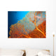 Couple of scuba divers on coral reef Wall Mural