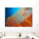 Couple of scuba divers on coral reef Wall Mural