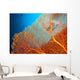 Couple of scuba divers on coral reef Wall Mural