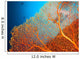 Couple of scuba divers on coral reef Wall Mural