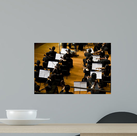 Symphony Concert