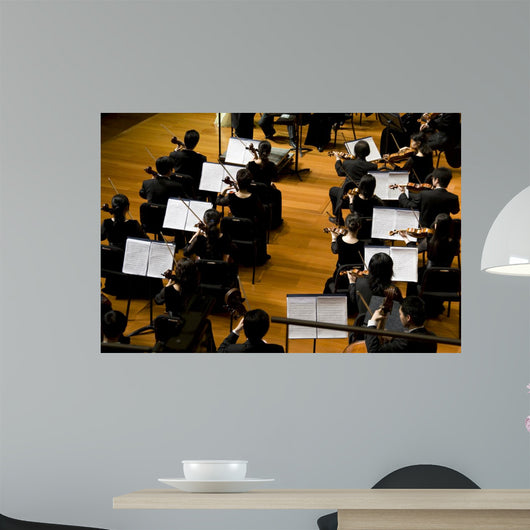 Symphony Concert